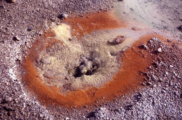 Hot spring - Norris Geyser Basin Picture