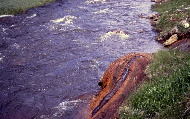 Chocolate Pots along Gibbon River - Hot Springs, Norris Geyser Basin Picture