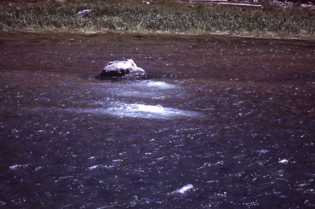 Hot springs in Yellowstone River Picture
