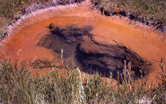 Unknown or unidentified hot spring in Shoshone Lake Geyser Basin Picture
