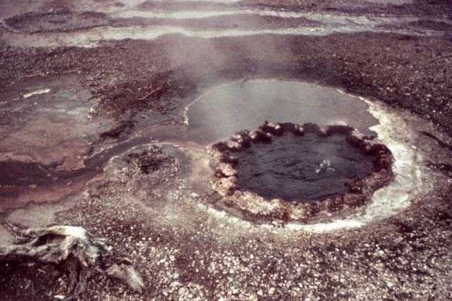 Kitchen Spring - Hot Springs, Shoshone Lake Geyser Basin Picture
