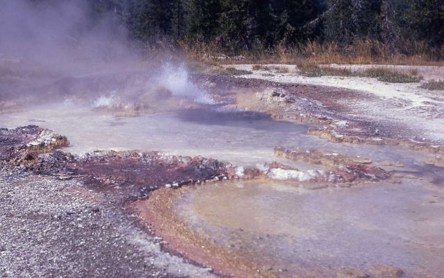 Coral Spring - Hot Springs, Shoshone Lake Geyser Basin Picture