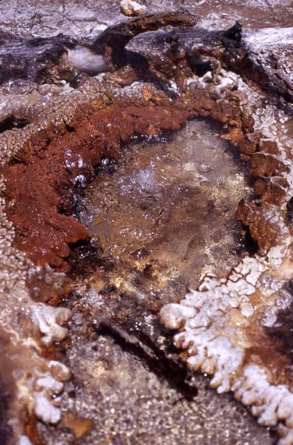 Small unidentified spring - Hot Springs, Shoshone Lake Geyser Basin Picture