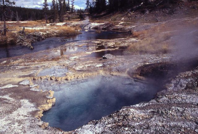 Coral Pool - stromatolites, rich biodiversity - Hot Springs, Shoshone Lake Geyser Basin Picture