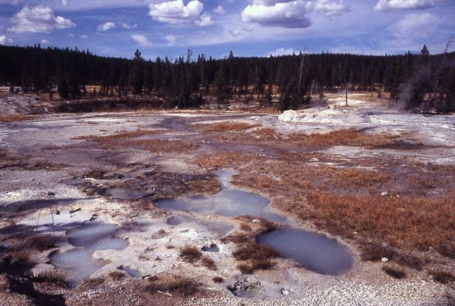 Low ph habitat springs - acid habitat/acidianus - Hot Springs, Shoshone Lake Geyser Basin Picture