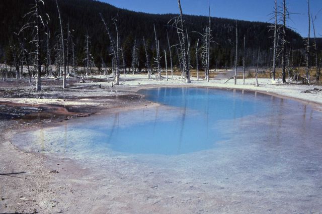 Opalescent Pool - Black Sand Basin - Hot Springs, Upper Geyser Basin Picture