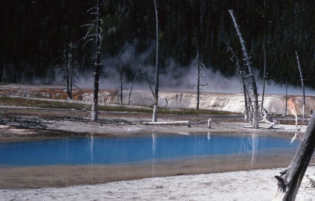 Opalescent Pool - Black Sand Basin - Hot Springs, Upper Geyser Basin Picture