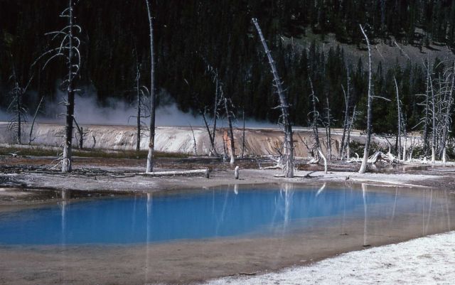 Opalescent Pool - Black Sand Basin - Hot Springs, Upper Geyser Basin Picture