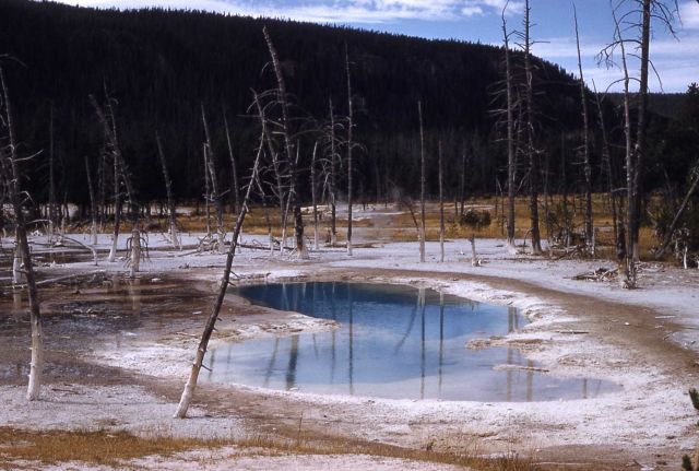 Opalescent Pool - Black Sand Basin - Hot Springs, Upper Geyser Basin Picture