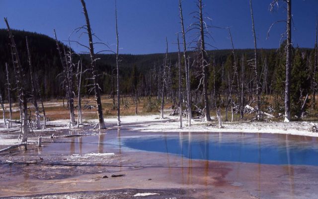 Opalescent Pool - Black Sand Basin - Hot Springs, Upper Geyser Basin Picture