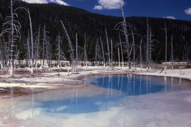 Opalescent Pool - Black Sand Basin - Hot Springs, Upper Geyser Basin Picture