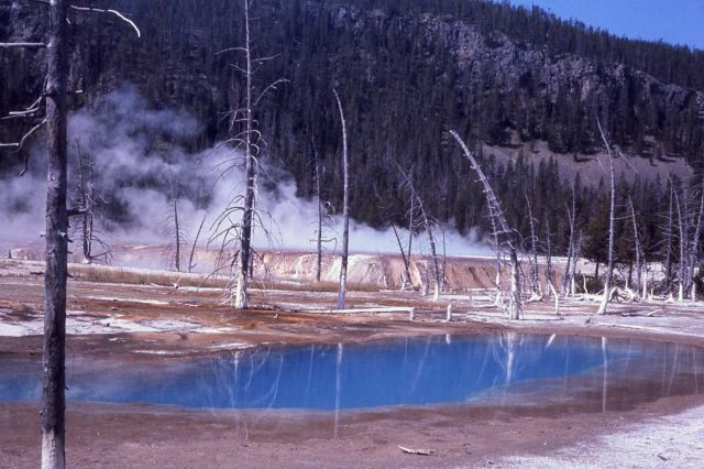 Opalescent Pool - Black Sand Basin - Hot Springs, Upper Geyser Basin Picture