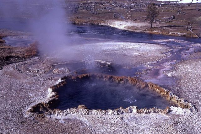 Hot spring near Seismic Geyser - Upper Geyser Basin Picture