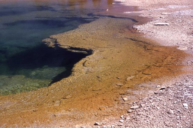 Rainbow Pool - Hot Springs, Upper Geyser Basin Picture