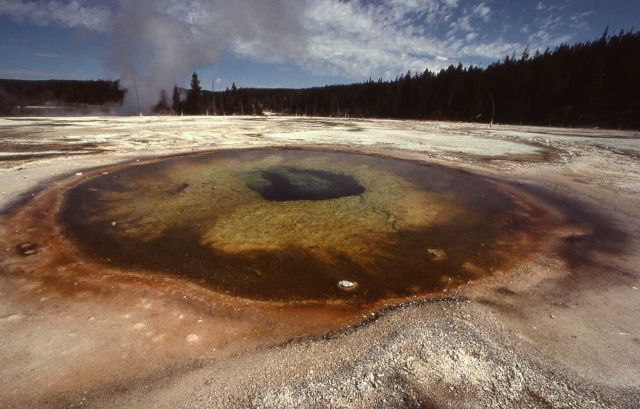 Chromatic Pool - Hot Springs, Upper Geyser Basin Picture