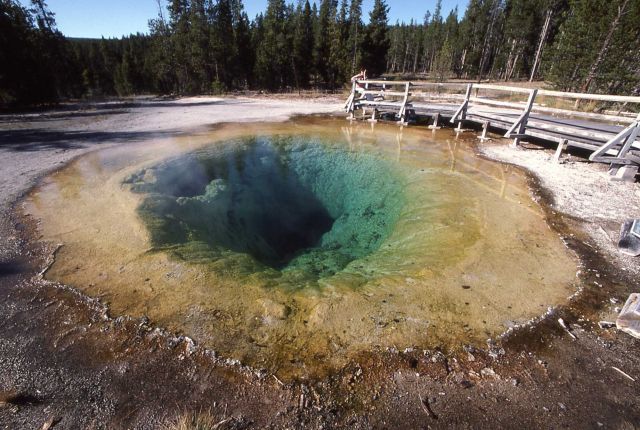 Morning Glory Pool - Upper Geyser Basin Picture