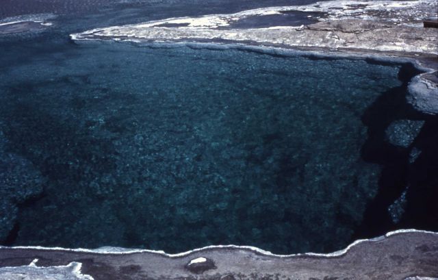 Sapphire Pool - close up of edge - Upper Geyser Basin Picture