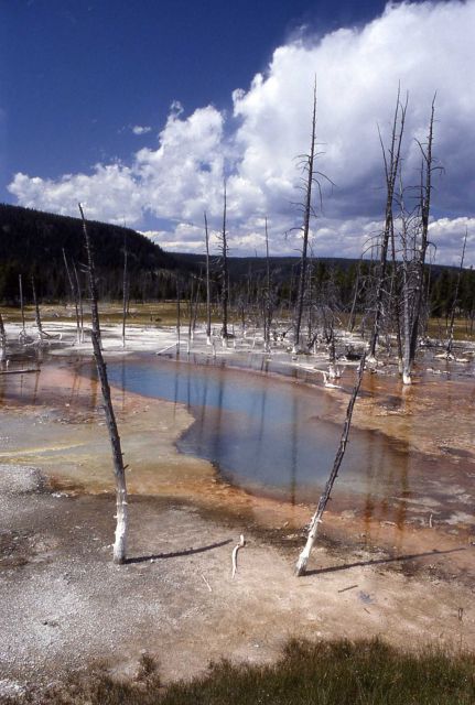 Opalescent Pool - Upper Geyser Basin Picture