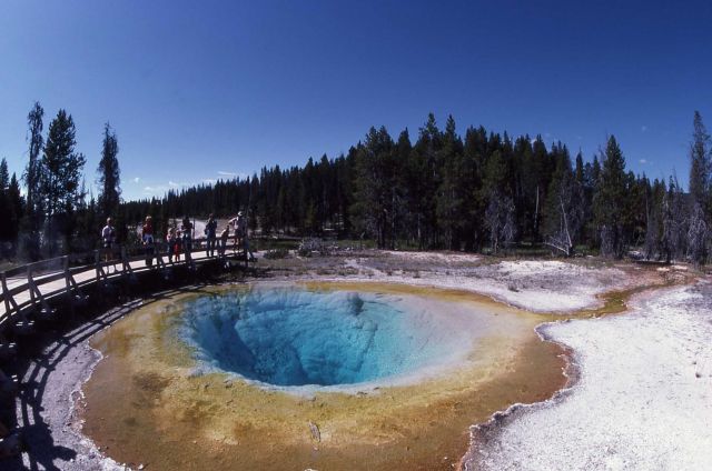 Morning Glory Pool - Upper Geyser Basin Picture