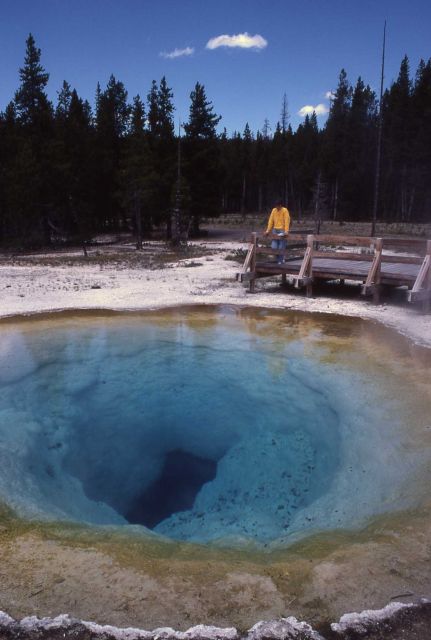 Morning Glory Pool - Upper Geyser Basin Picture