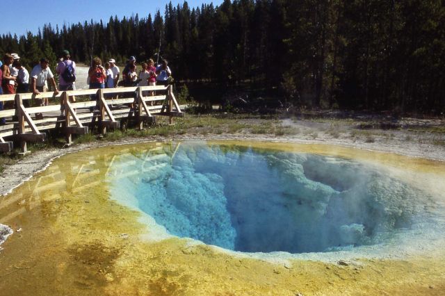 Morning Glory Pool - Upper Geyser Basin Picture