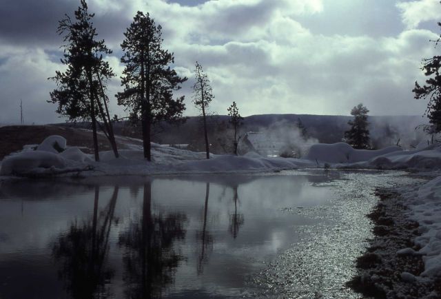 Thermal pond - Upper Geyser Basin Picture