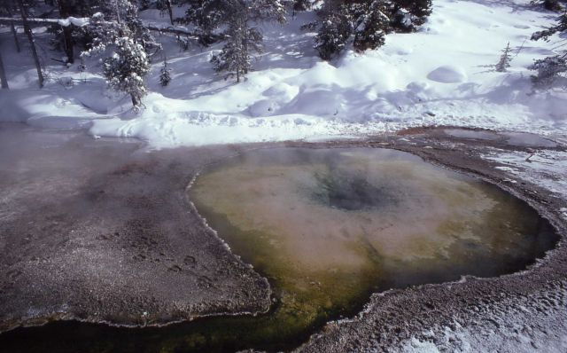 Wave Spring in winter - Upper Geyser Basin Picture