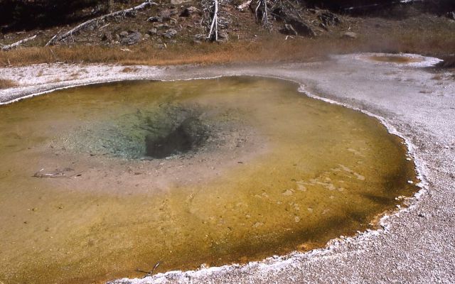 Wave Spring - Upper Geyser Basin Picture