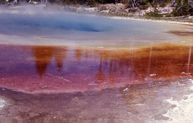 Mirror Pool - Hot Springs, Upper Geyser Basin Picture