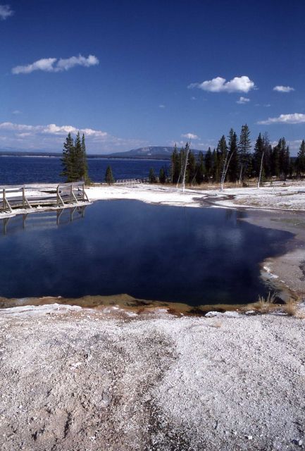 Black Pool - Hot Springs, West Thumb area Picture