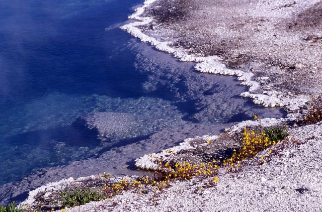 Black Pool - Hot Springs, West Thumb area Picture