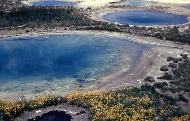Mimulus Pools - Hot Springs, West Thumb area Picture