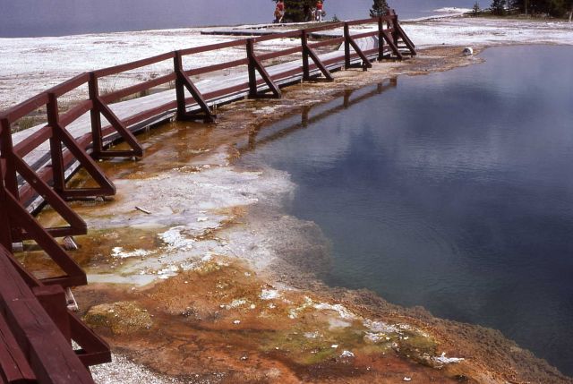 Black Pool - Hot Springs, West Thumb area Picture
