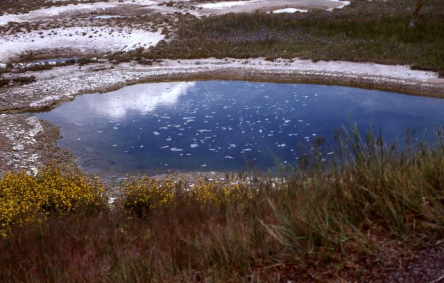 Unidentified hot spring - Hot Springs, West Thumb area Picture