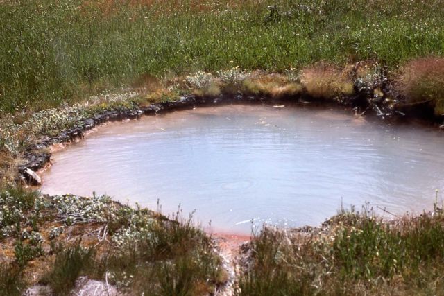 Unidentified hot spring - Hot Springs, West Thumb area Picture