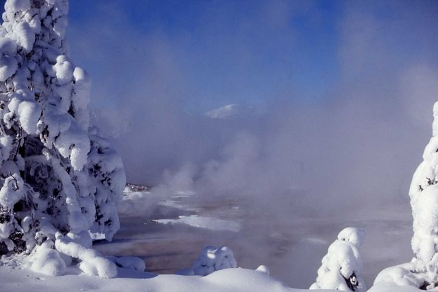 Ice & snow in Norris Geyser Basin Picture