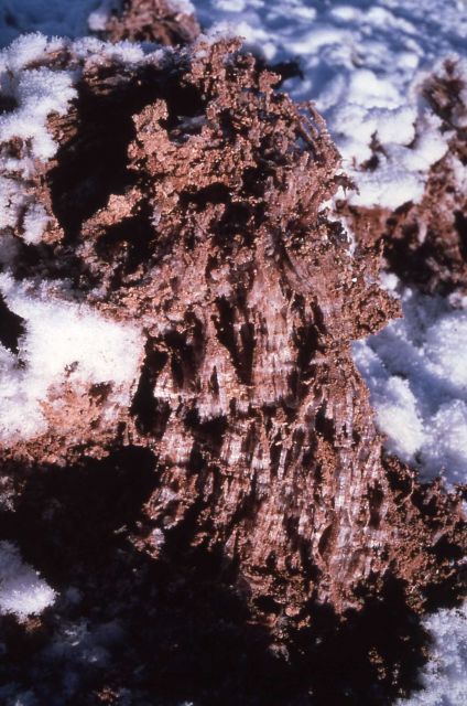 Red pencil frost - Old Faithful area Picture