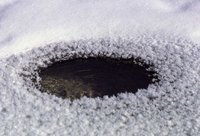 Hole in lake ice from a hot spring at West Thumb Picture