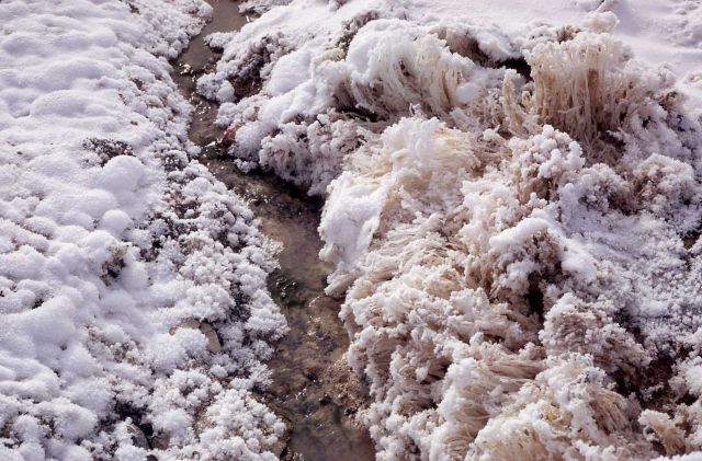 Frost columns rising from warm ground Picture