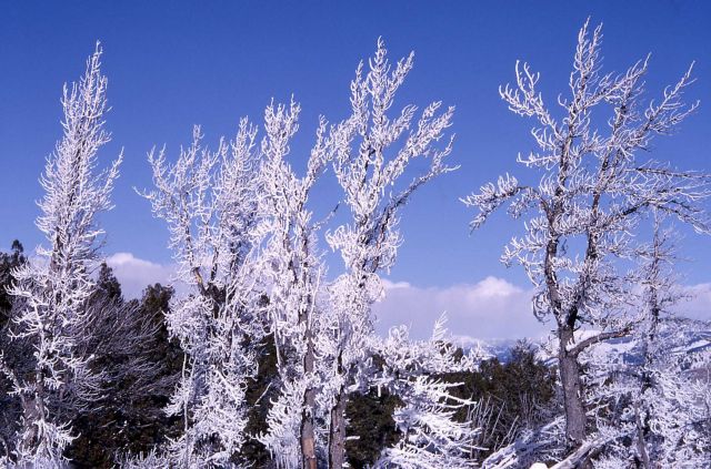 Ice formations from thermal steam Picture