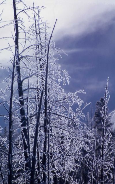 Ice formations from thermal steam Picture