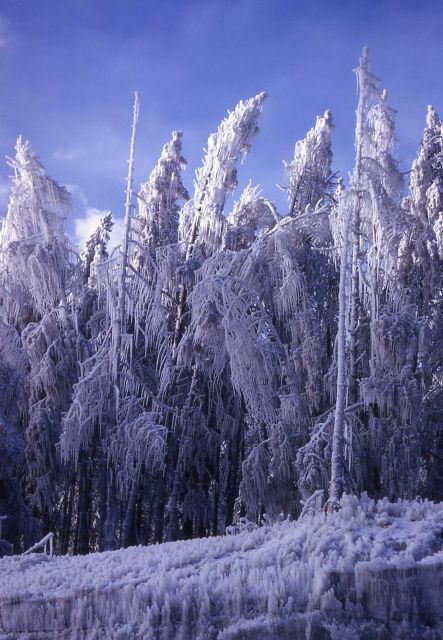 Ice formations from thermal steam Picture