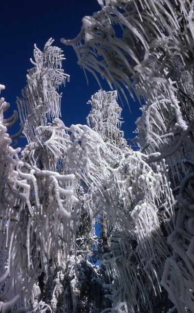 Ice formations from thermal steam Picture