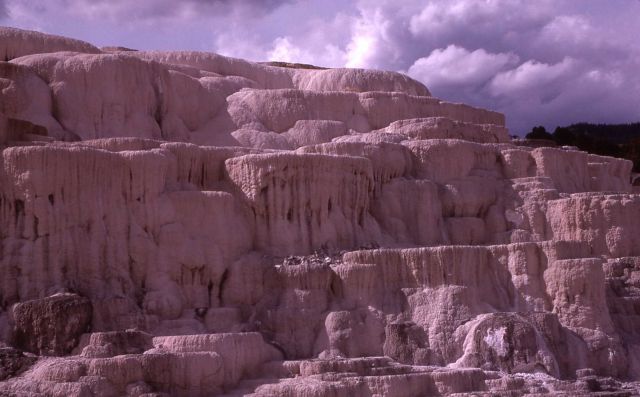 Terrace at Mammoth Hot Springs - Mineral deposits Picture