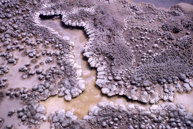 Sinter formation - Rustic Geyser, Heart Lake - Mineral deposits Picture
