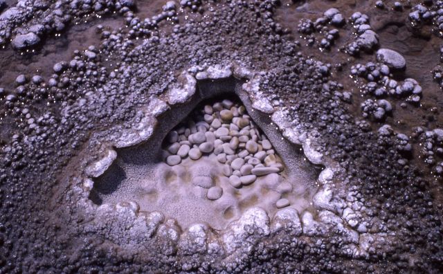 Geyser 