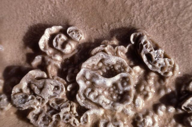 Sinter detail - Grand Geyser formation - Mineral deposits Picture