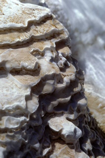 Travertine deposit - Minerva Terrace - Mineral deposits Picture