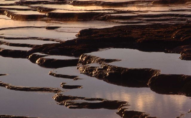 Sinter terraces - Fountain Paint Pot area - Mineral deposits Picture