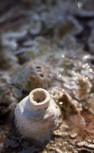 Unusual formation (pot) on terraces - Mineral deposits Picture